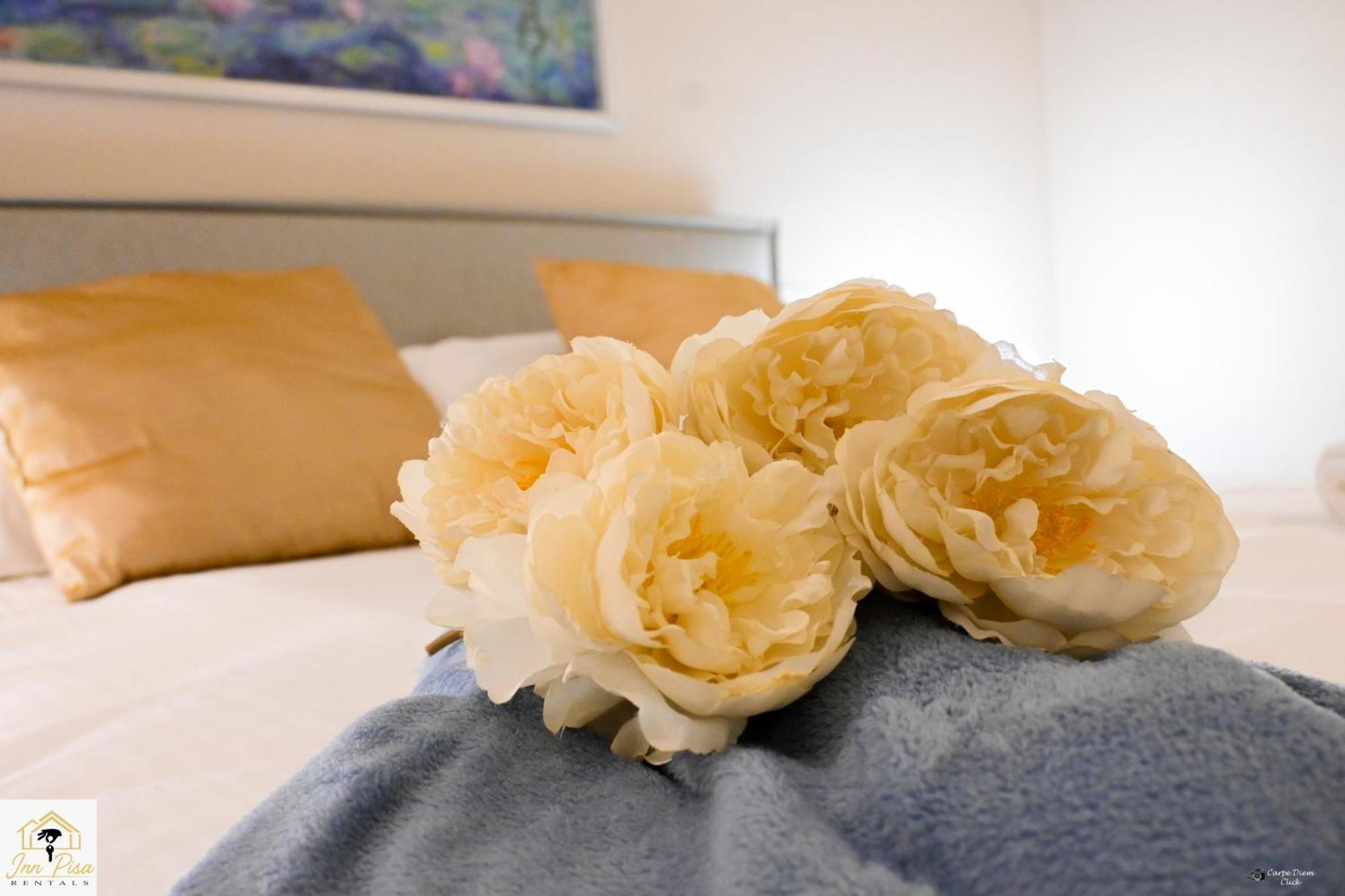 - Tower Flat Apartment Pisa
